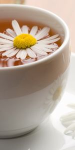 Flowers,Food,Camomile,Drinks