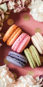 Les Makaroons,Nourriture,Cookies,Fleurs,Multicolore,Hétéroclite,Désert,Macarons