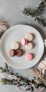 Assiette,Plaque,Cookies,Les Makaroons,Fleurs,Nourriture,Désert,Macarons