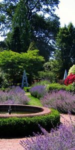 Nature,Fontaine,Fleurs,Jardin