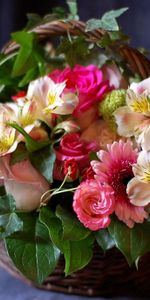 Flowers,Gerberas,Alstroemeria,Basket,Roses,Composition,Greens