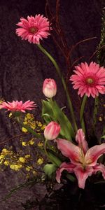 Flores,Gerberas,Azucena,Lirio,Composición,Ikebana,Tulipanes