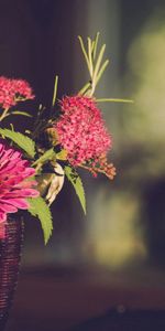 Flowers,Gerberas,Petals,Vase