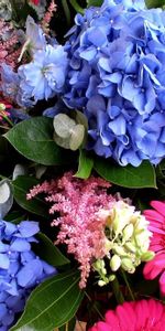 Dolphinium,Delphinium,Fleurs,Gerberas,Inscription,Typographie,Bouquet,Hortensia