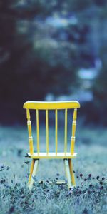 Flowers,Grass,Chair,Field,Minimalism