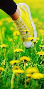 Flowers,Grass,Dandelions,Miscellanea,Miscellaneous,Legs,Sneakers,Run Away,Run,Shoes