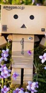 Danboard,Картонный Робот,Разное,Трава,Цветы