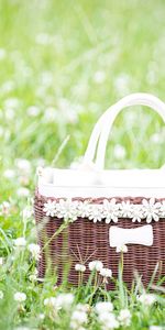 Flowers,Grass,Miscellanea,Miscellaneous,Field,Basket,Glade,Polyana