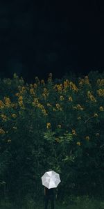 Flowers,Grass,Miscellanea,Miscellaneous,Human,Person,Loneliness,Umbrella