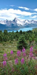 Herbe,Montagnes,Fleurs,Vallée,Lac,Nature