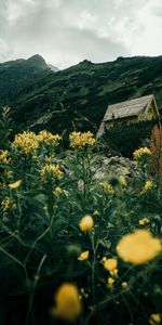 Nature,Herbe,Imeuble,Les Collines,Collines,Pente,Fleurs,Sky,Bâtiment