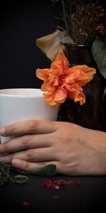 Flowers,Hand,Miscellanea,Miscellaneous,Dark,Cup