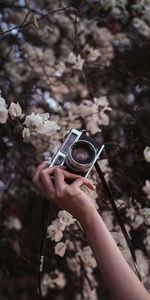 Flowers,Hand,Miscellanea,Miscellaneous,Flowering,Bloom,Retro,Camera