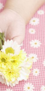 Flowers,Hand,Miscellanea,Miscellaneous,Kid,Tot,Child