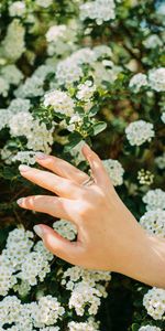 Flowers,Hand,Miscellanea,Miscellaneous,Ring,Flowering,Bloom