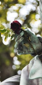 Flowers,Hand,Rose,Smooth,Glare,Rose Flower,Blur,Sculpture