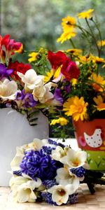 Flowers,Hyacinth,Table,Pot,Crocuses,Muscari,Muskari,Bouquet,Vase,Camomile