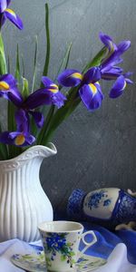 Flowers,Jug,Irises,Tablecloth,Tea Pair