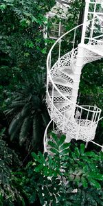 Flowers,Ladder,Circular,Botanic Gardens,Stairs,Botanical Garden,Plants