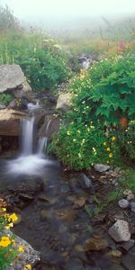 Flowers,Landscape,Waterfalls