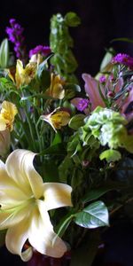 Flowers,Leaves,Alstroemeria,Bouquet,Lily,Composition