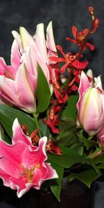 Flowers,Leaves,Alstroemeria,Bouquet,Orchids,Background