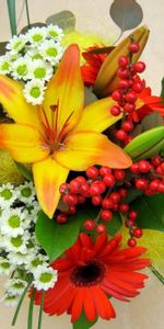 Flowers,Leaves,Chrysanthemum,Lilies,Gerberas,Bouquet