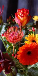 Flowers,Leaves,Gerberas,Bouquet,Calla,Callas,Rose Flower,Rose,Composition