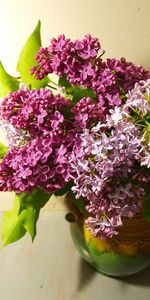 Fleurs,Lilas,Feuilles,Source,Vase,Printemps