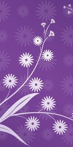 Flowers,Leaves,Violet,Purple,Vector