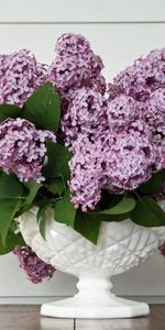 Bouquet,Lilas,Feuilles,Fleurs,Source,Vase,Printemps