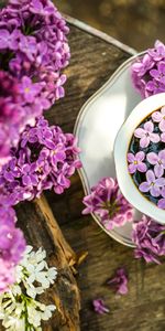 Flowers,Lilac,Food,Wood,Wooden,Cup,Coffee