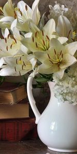 Flowers,Lilies,Bouquet,Notes,Peas,Hydrangeas,Vase,Music,Books