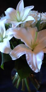 Flowers,Lilies,Gerberas,Bouquet