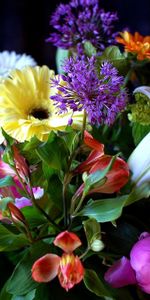 Flowers,Lilies,Gerberas,Greens,Bouquet,Composition