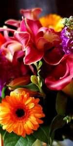 Flowers,Lilies,Gerberas,Typography,Registration,Bouquet,Calla,Callas,Close Up