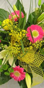 Lilies,Des Mimosas,Fleurs,Gerberas,Inscription,Mimosa,Typographie,Bouquet