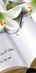 Livre,Lilies,Carnet De Notes,Divers,Carnet,Fleurs