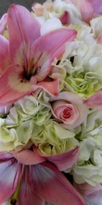 Flowers,Lilies,Registration,Typography,Bouquet,Roses,Composition,Hydrangea