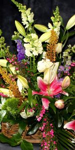 Flowers,Lilies,Typography,Registration,Greens,Buds,Basket