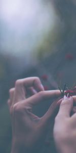 Flowers,Macro,Hands,Fingers