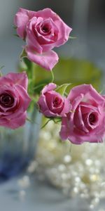 Flowers,Macro,Rose Flower,Blur,Smooth,Rose,Vase