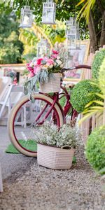 Lampes,Lampes De Poche,Panier,Divers,Fleurs,Bicyclette,Bouquet