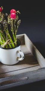 Flowers,Miscellanea,Bouquet,Mug,Asparagus,Miscellaneous,Cup,Plants