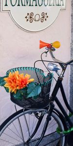 Flowers,Miscellanea,Miscellaneous,Basket,Bicycle