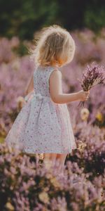 Flowers,Miscellanea,Miscellaneous,Bouquet,Field,Child,Lavender