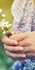 Flowers,Miscellanea,Miscellaneous,Bouquet,Hands,Girl