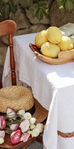 Chaise,Fleurs,Table,Agrume,Citrons,Divers,Agrumes,Tableau,Chapeau