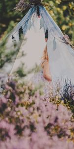 Flowers,Miscellanea,Miscellaneous,Child,Tent,Nature,Lavender