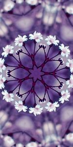 Flowers,Miscellanea,Miscellaneous,Kaleidoscope,Patterns